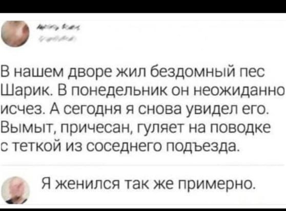 В нашем дворе жил бездомный пес Шарик. В понедельник он неожиданно исчез. А сегодня я снова увидел его. Вымыт, причёсан, гуляет на поводке с тёткой из соседнего подъезда.
Я женился так же примерно.