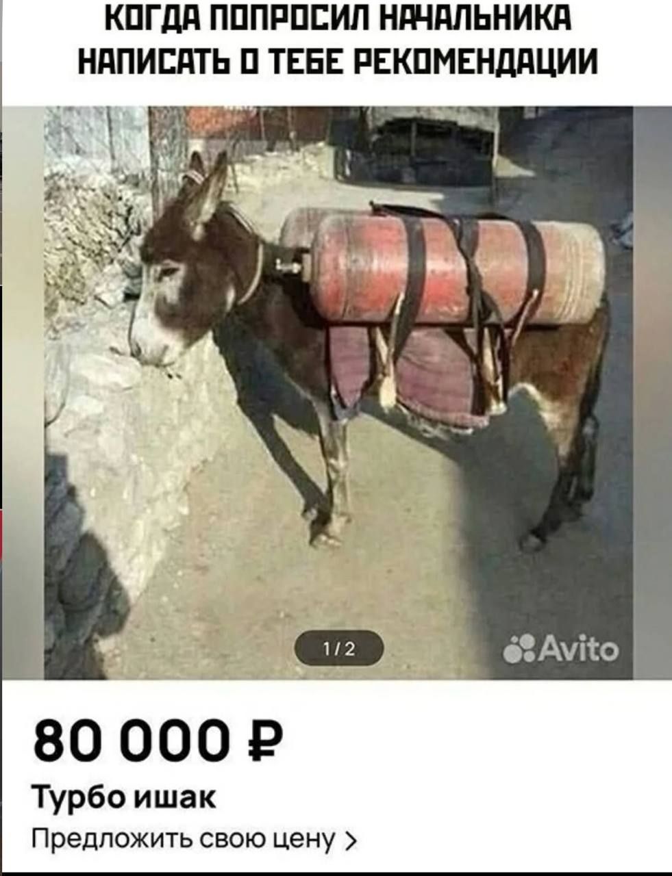 КОГДА ПОПРОСИЛ НАЧАЛЬНИКА НАПИСАТЬ О ТЕБЕ РЕКОМЕНДАЦИИ 80 000 ₽ Турбо ишак