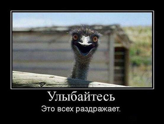 Улыбайтесь Это всех раздражает.