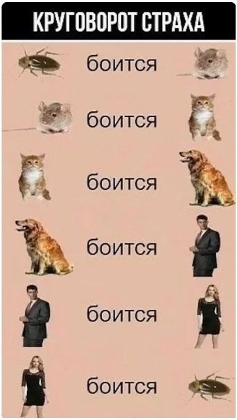 КРУГОВОРОТ СТРАХА
боится
боится
боится
боится
боится
боится
боится