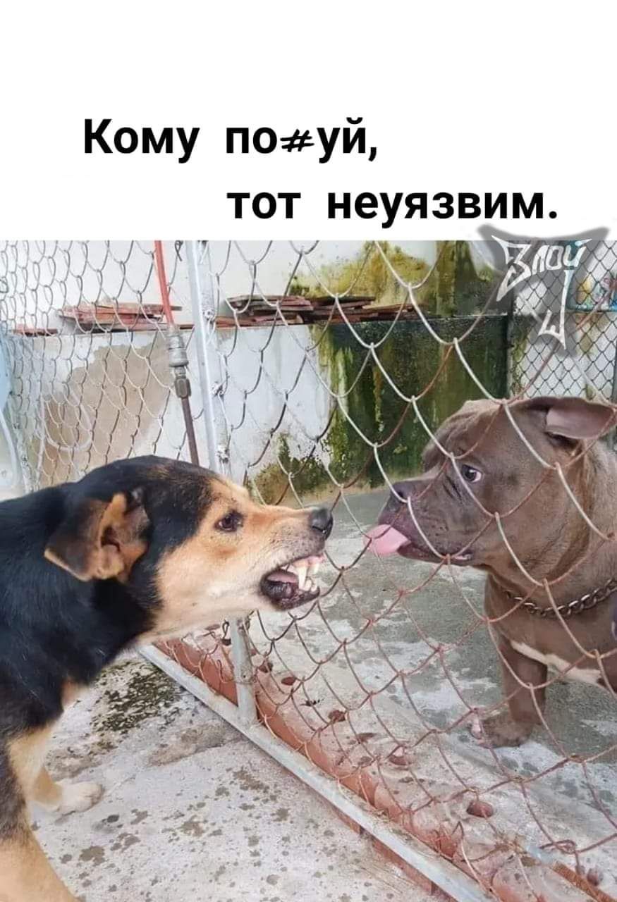 Кому поаеуй