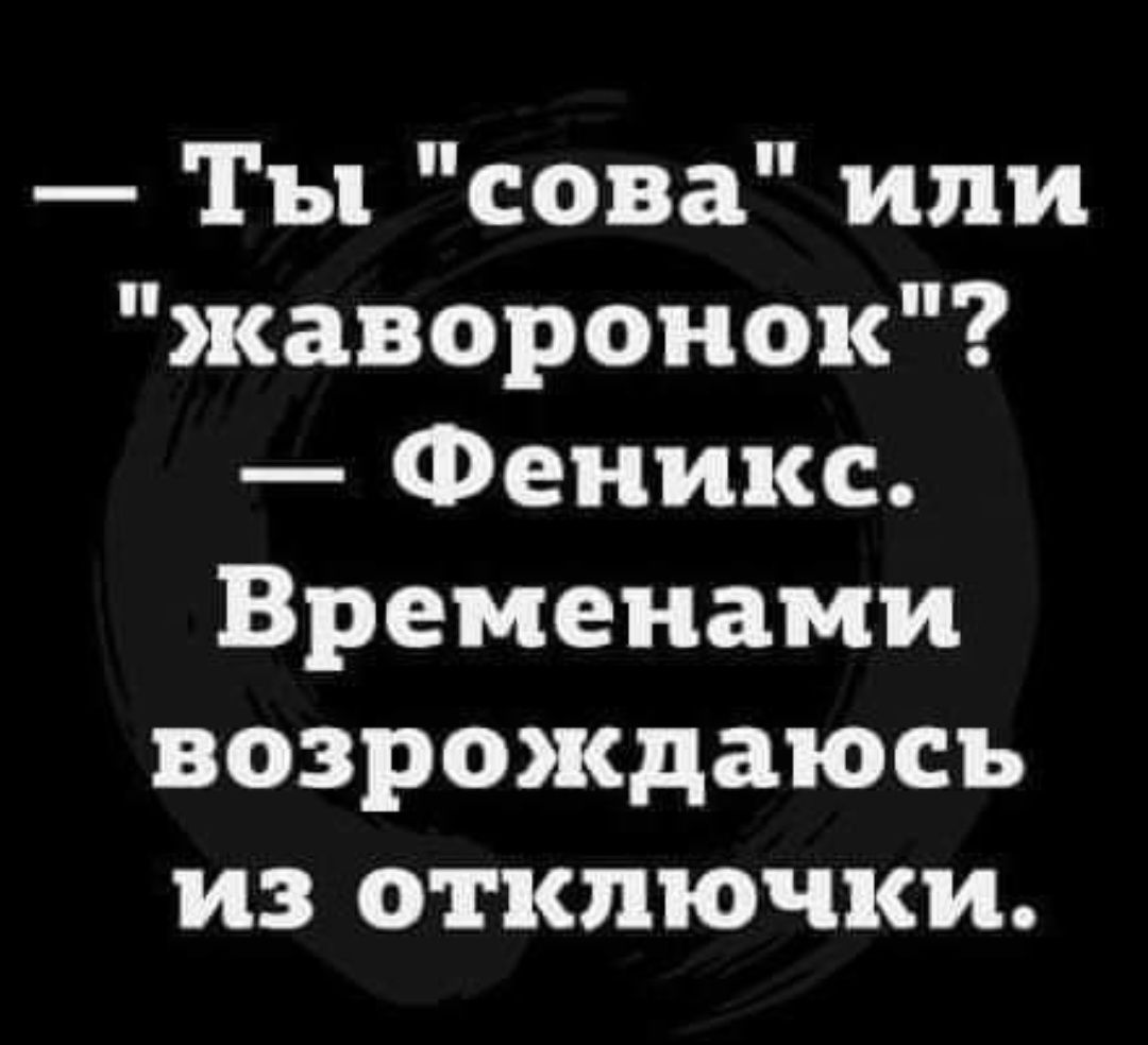 Ты сова или жаворонок Феникс Временами возрождаюсъ из отключки