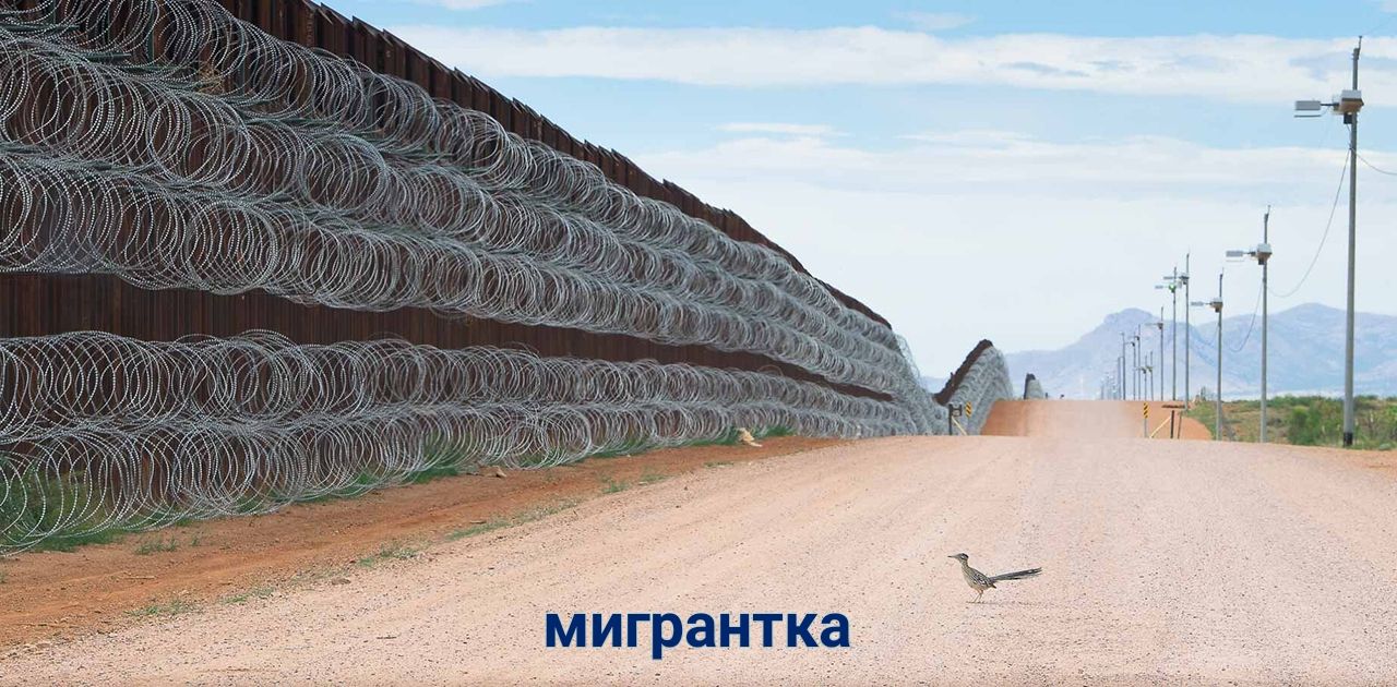 Мигрантка