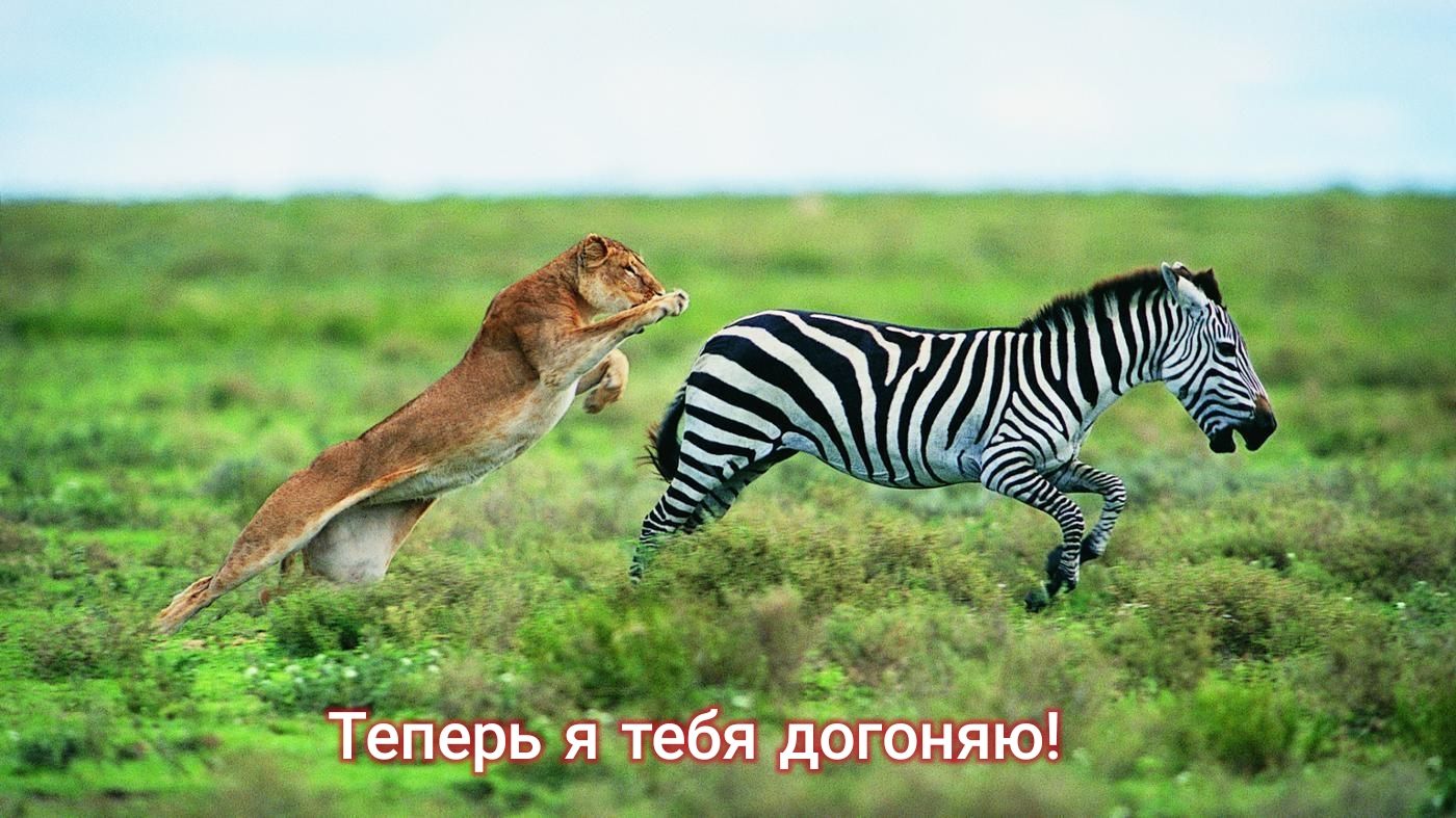 Теперь я тебя догоняю