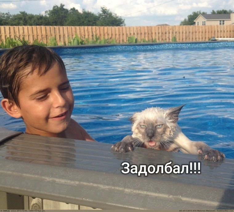 у _ _ Задолбал