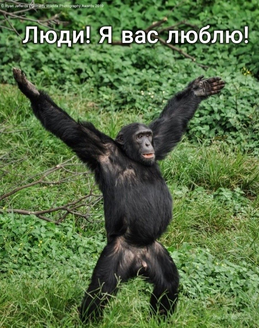 Ё __Ез__ді а_ любдю 53 335