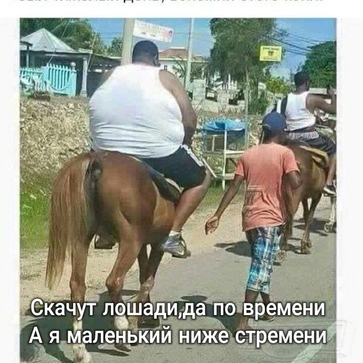 СКЭЧУТ ЛОШЭДИ да ПО времени А ЯМ М ленрКИй НИЖВ стремени