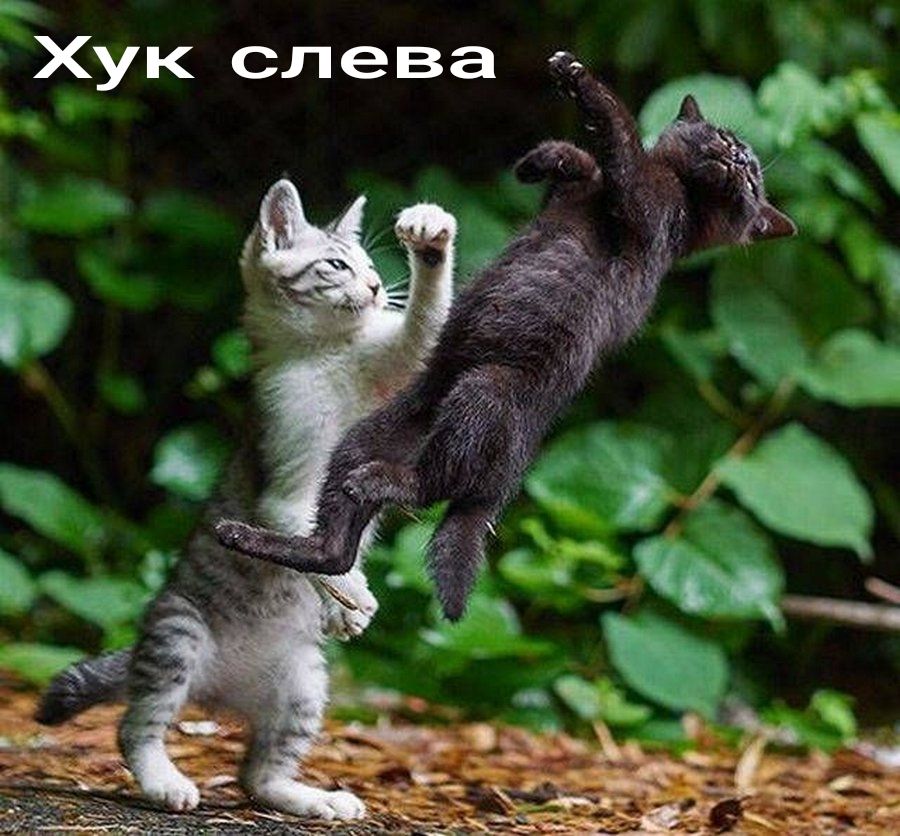 Хук слева