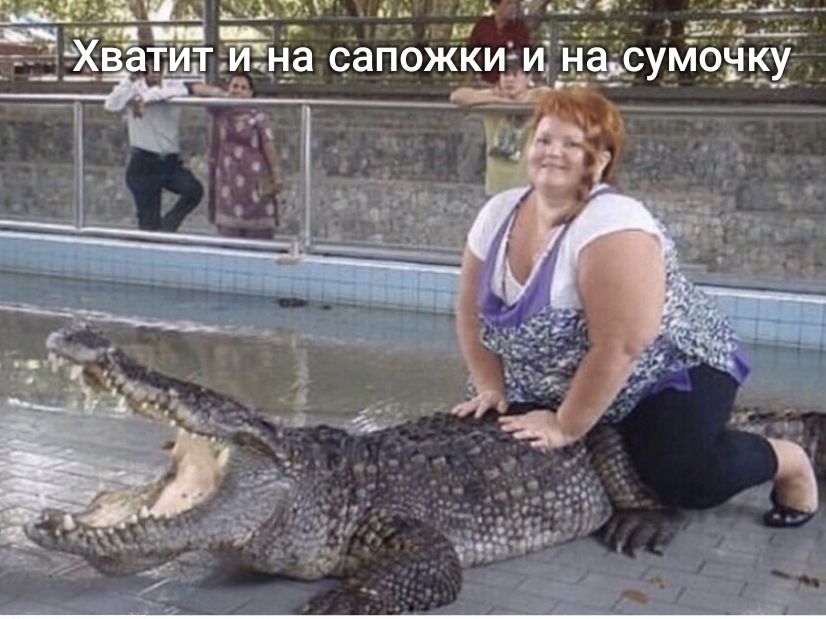 _Чд дн 335 и _ _а сапожкии4