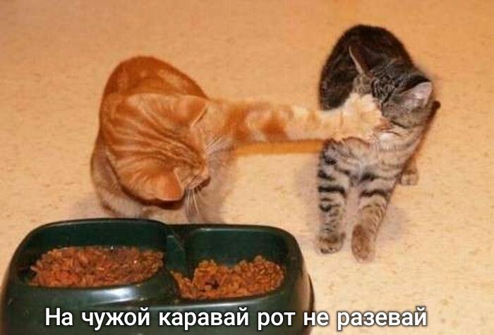На чужой ка равай рот не