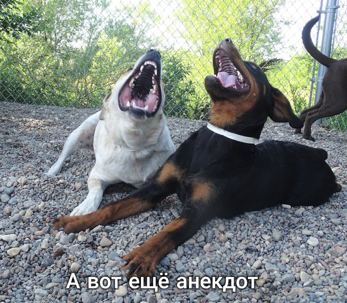 ГХ