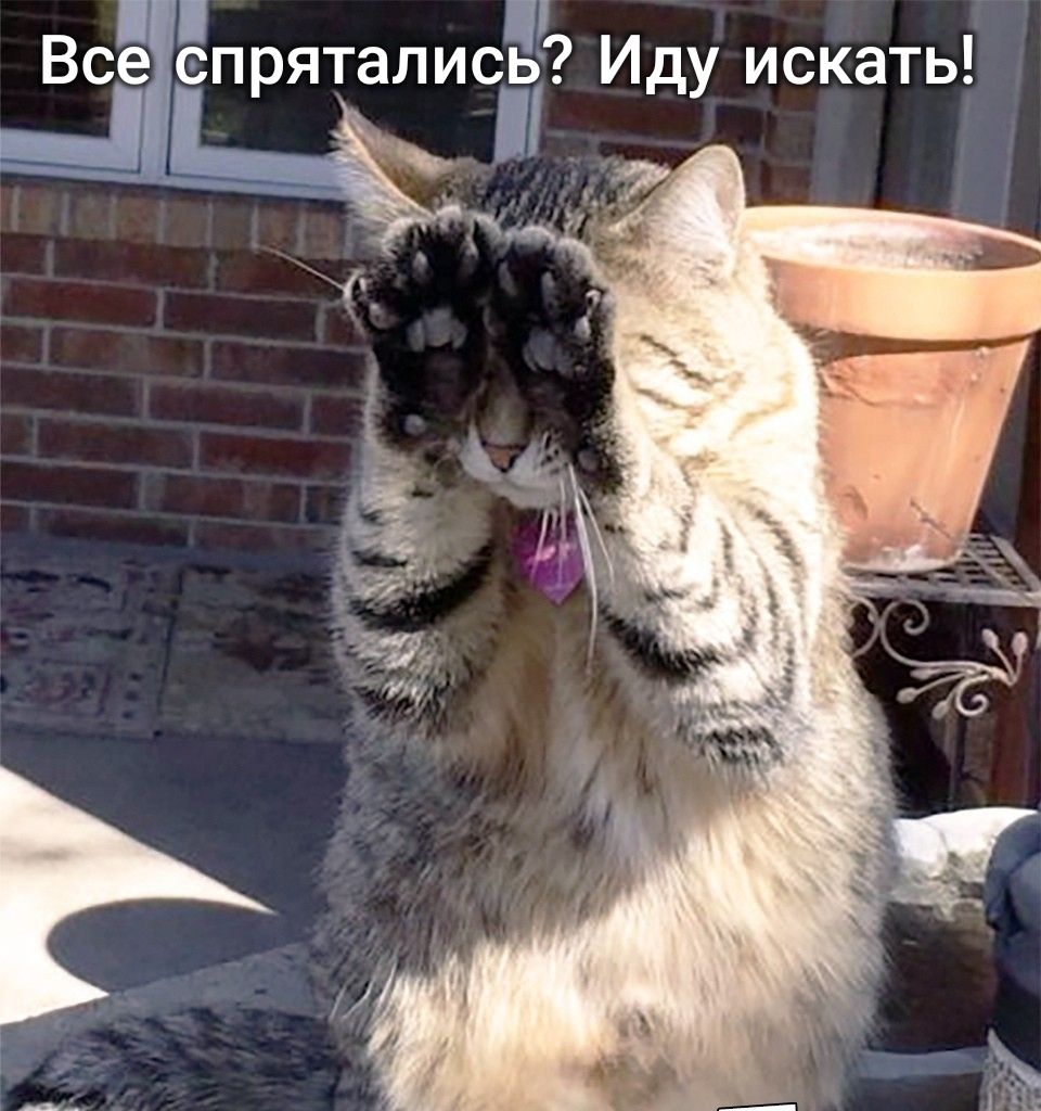 Всжспрятались Иду искать