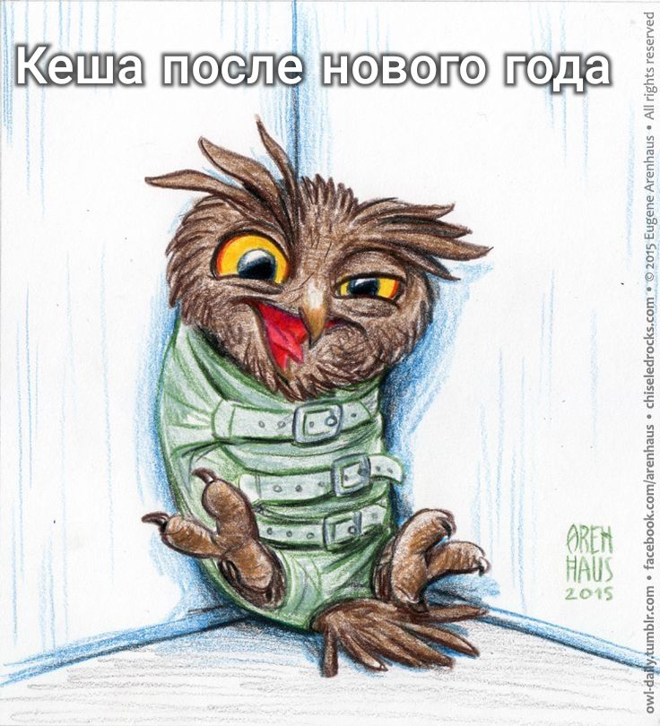 Кешатослетновопоода