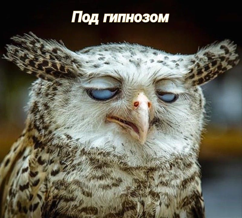 Под гипнозом