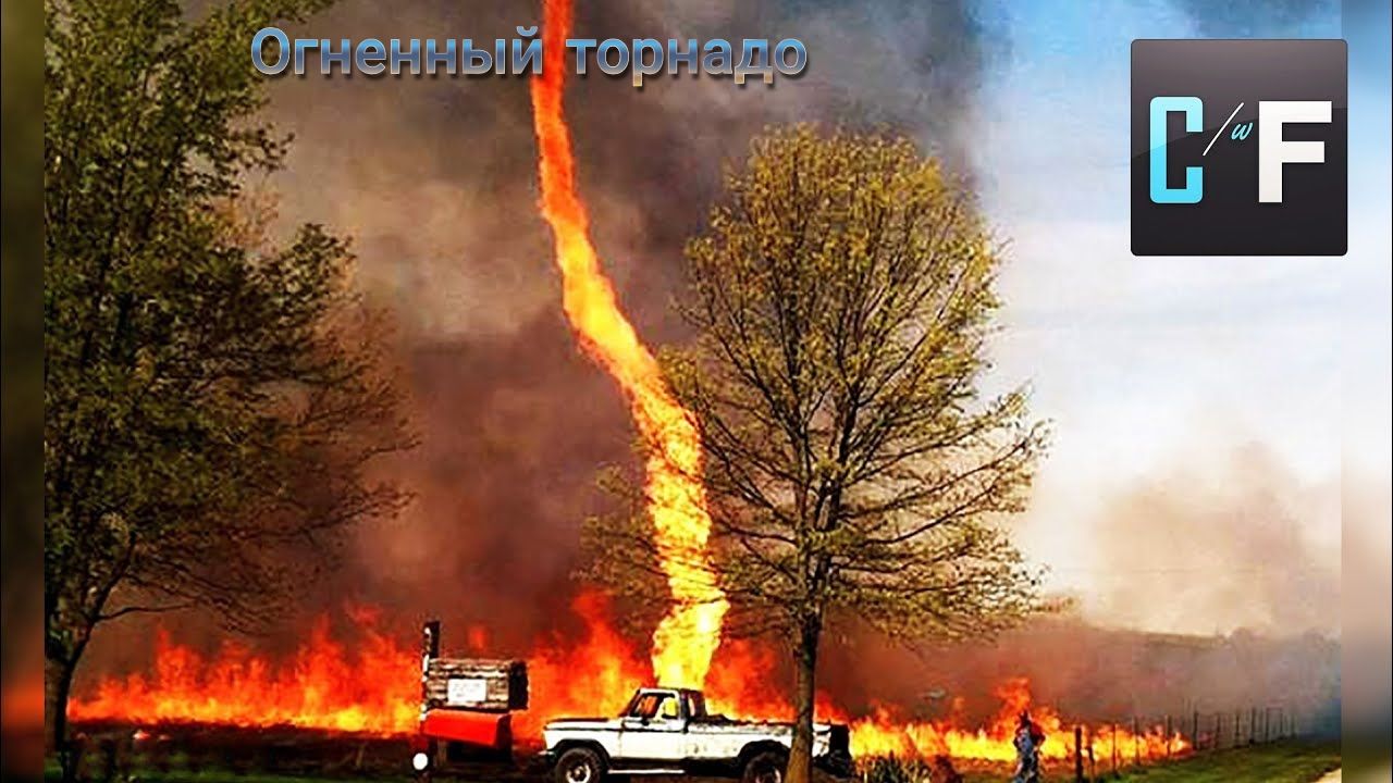 'оглевный