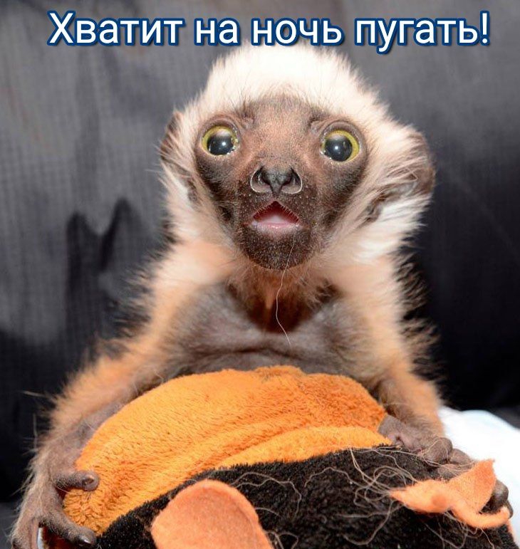Хватит на ночь пугать