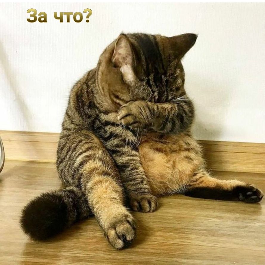 А что: