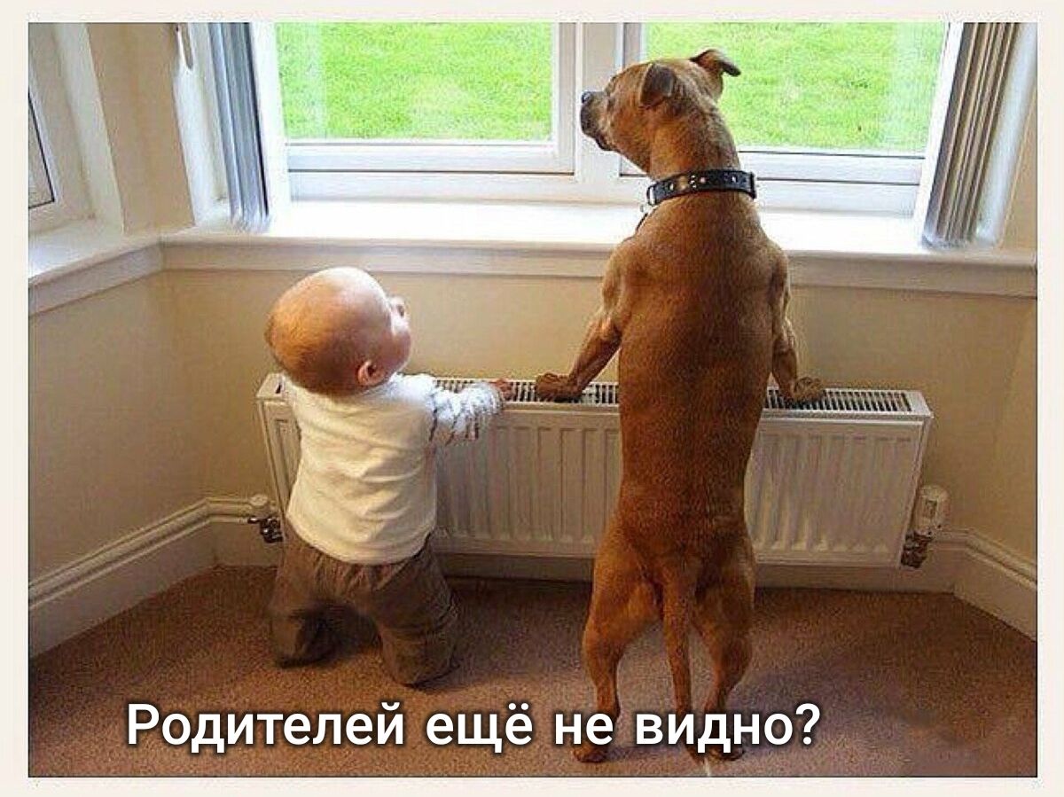 Родителей ещё не видно