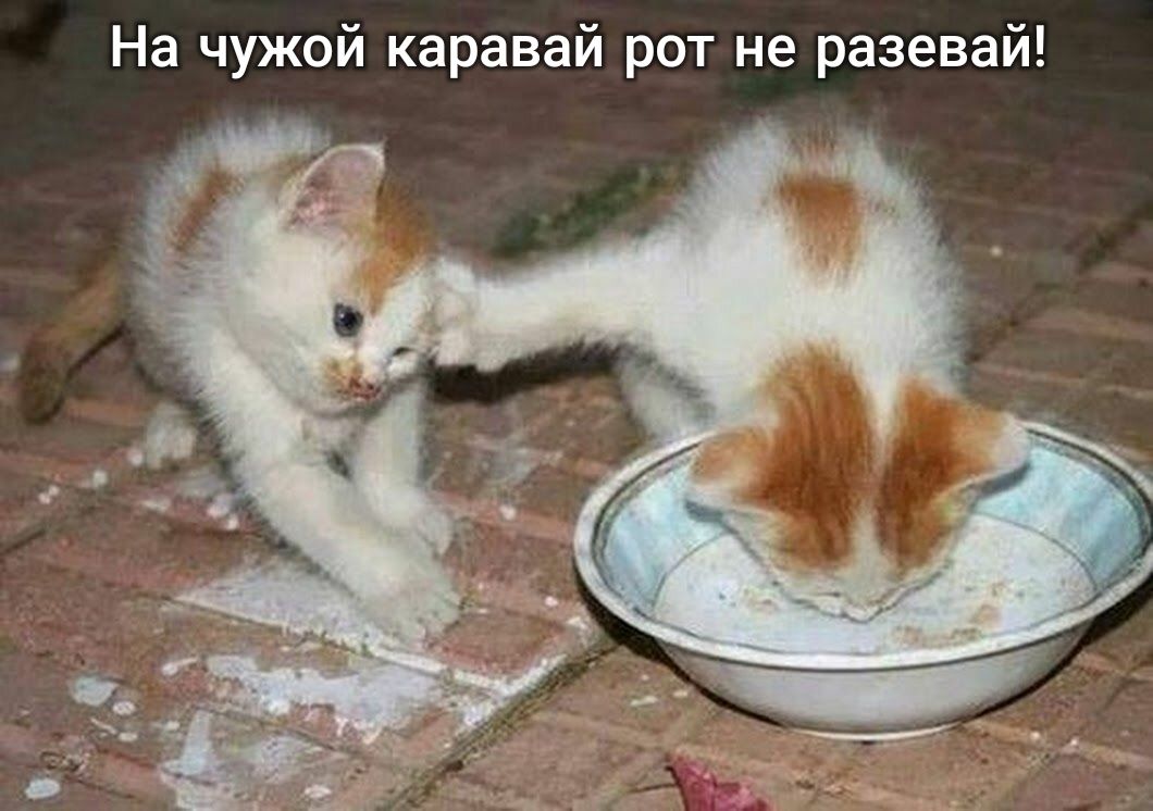 На чужой каравай рот не разевай
