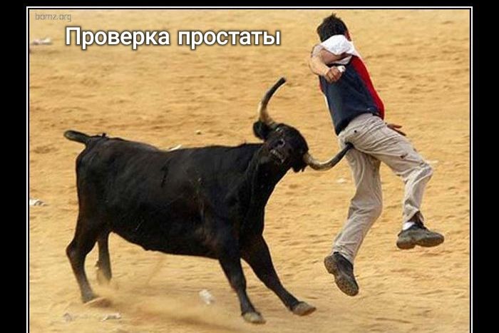 Проверкаттпростать!