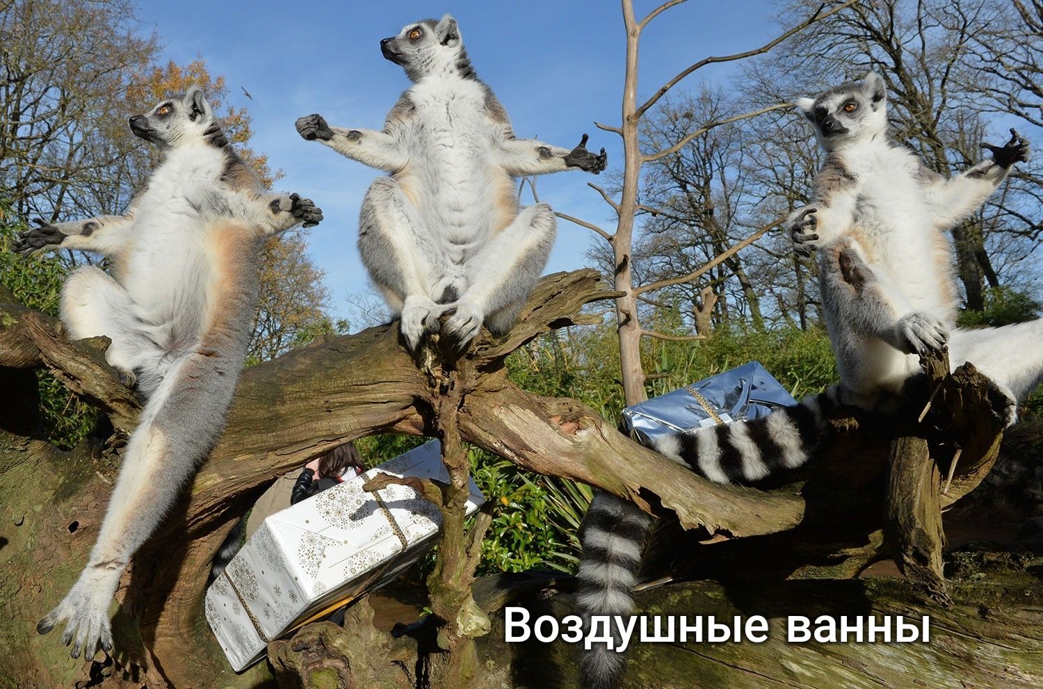 і