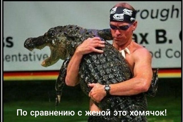 По сравнению с Мойдіібёвмячок