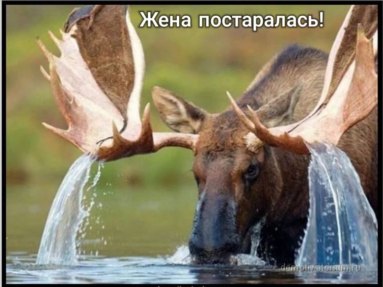 пэетаралаеь
