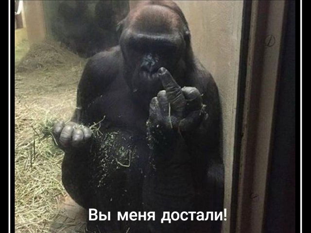 Вы меня достали