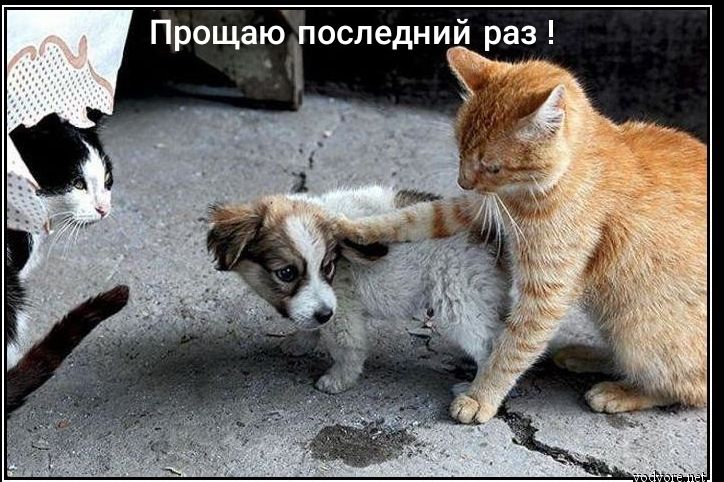 Прощаъб последний раз
