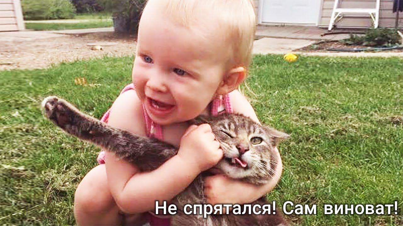 ВинОват