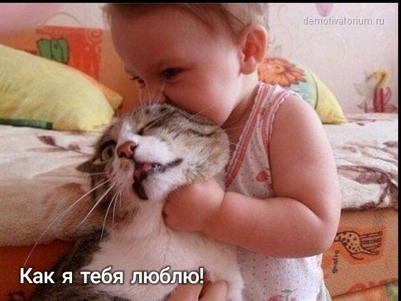 Как я тебя