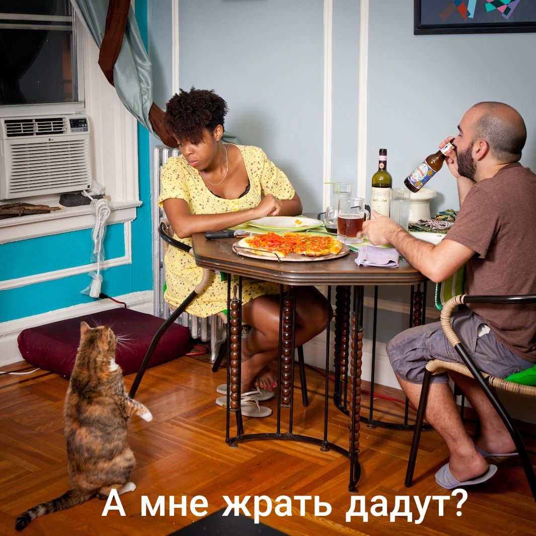 бші сков решилчтобы сохранить больше коек для простых россиянпечиться на одной койке с премьером Мишустиным в Коммунарке