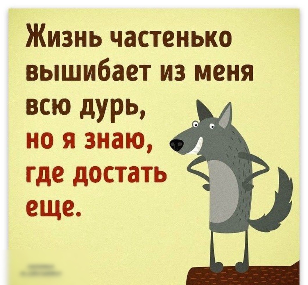 Жизнь частенько вышибает из меня всю дурь но я знаю где достать еще