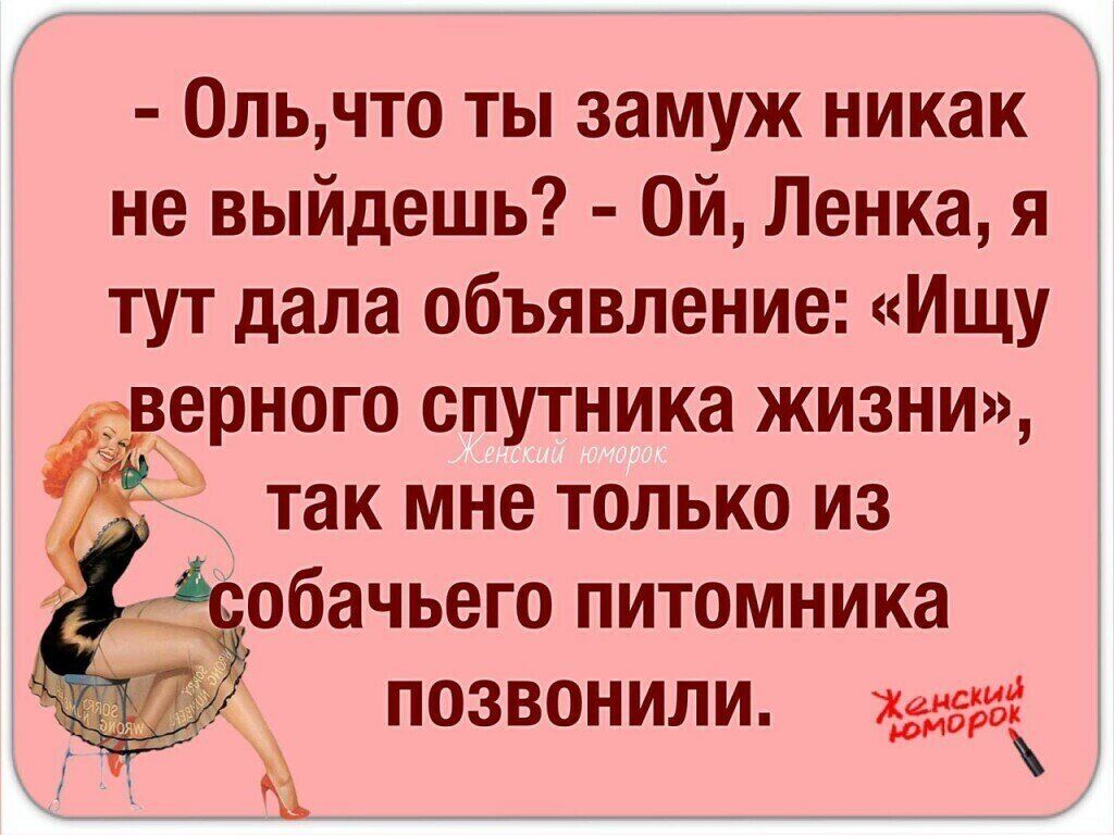 0льчто ты замуж никак не выйдешь Ой Ленка я тут дала объявление Ищу ерного спутника жизни так мне только из обачьего питомника позвонили