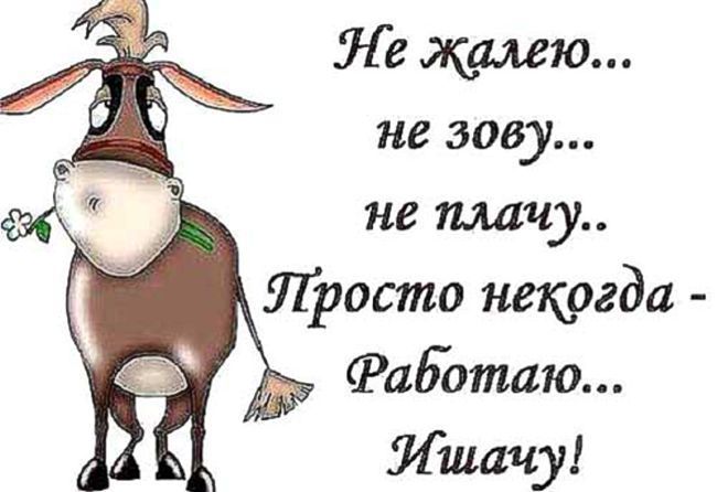 Ле жалею не зову не плачу Просто некргда Фаботаю Ишачу