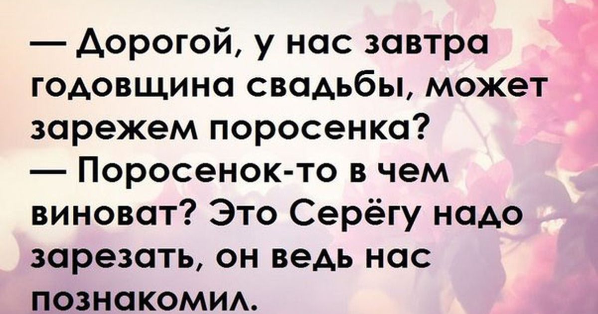 Аорогой у нас завтра годовщина свадьбы может зарежем поросенка Поросенок то в чем виноват Это Серёгу надо зарезать он ведь нас познакомим