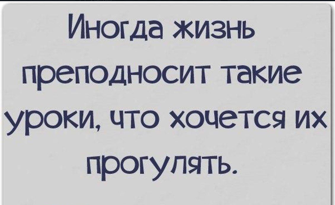 Иногда жизнь преподносит такие уроки что хочется их прогулять