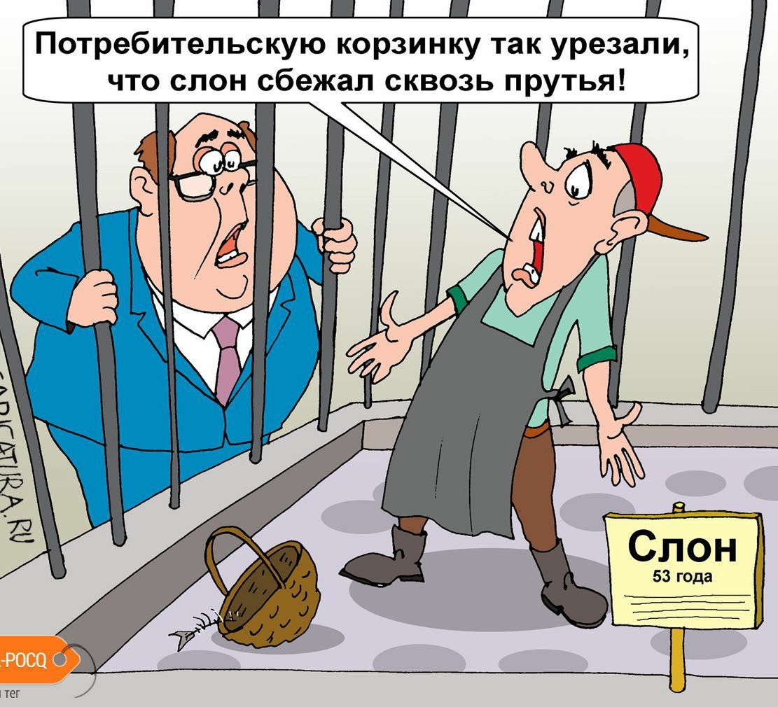 Потребительскую корзинку так урезали что слон сбежал сквозь прутья