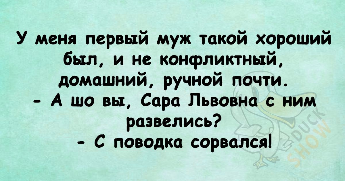 У меня первый муж такой хороший был и не конаэликтный домашний ручной почти А шо вы Сара Львовна с ним развелись С поводка сорвался