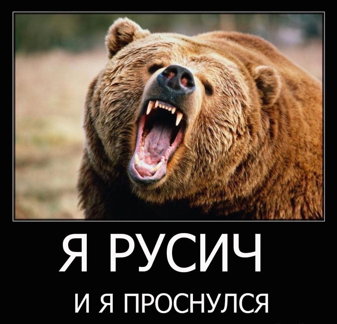 я русич И Я ПРОСНУЛСЯ