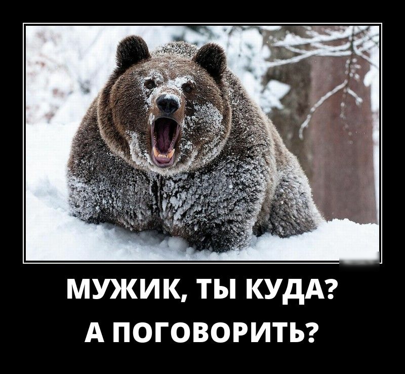 МУКИК ТЫ КУДА А ПОГОВОРИТЬ