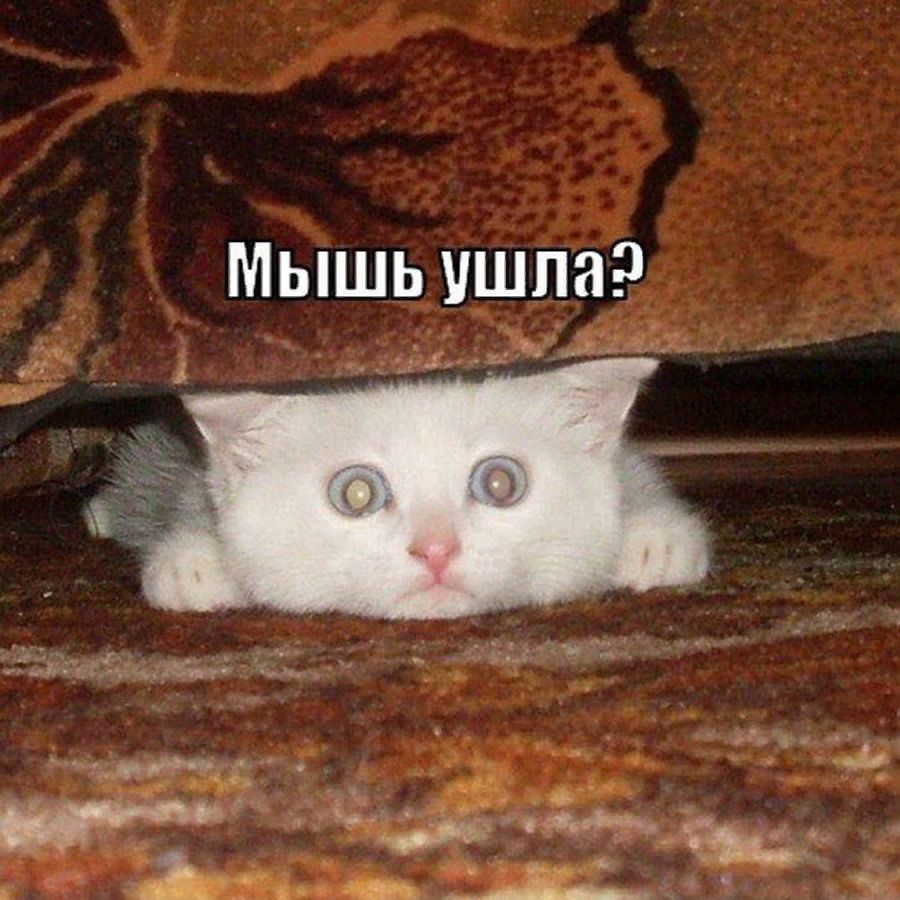 МЫШЬ УШПЗ 11 4 А и ХЁЦ