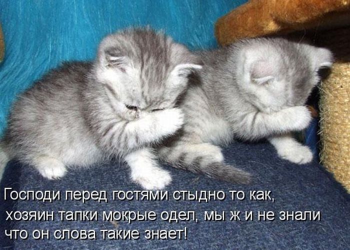Господи перед гостя стыдно то как хозяин__та_пки _ крыеодел мы ж и не знали что он_с іовёт ие анёетг