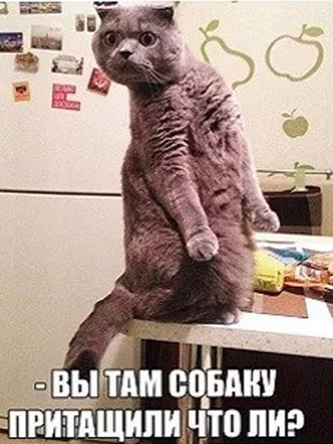 диоды притдщипичто И