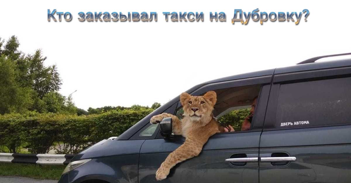 ю заказывал таким на Дубрэвку і двврь Авто