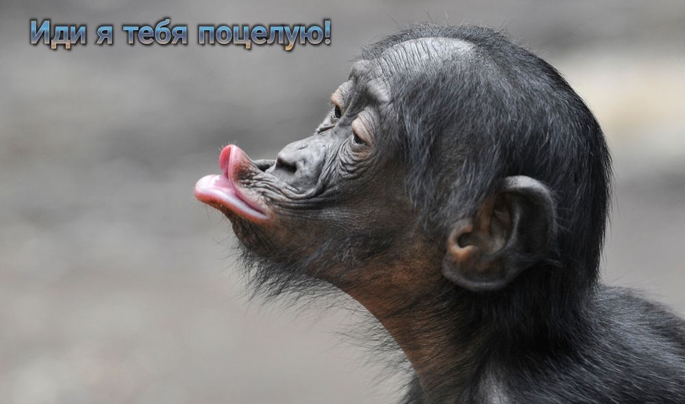 Гяеа яя чтебя паар
