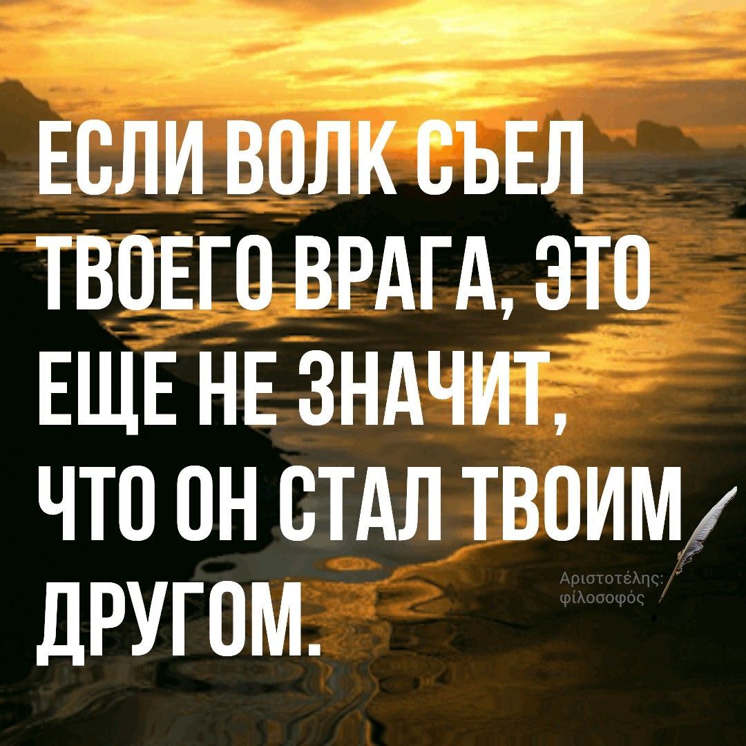 а ЕОЛИ ВОЛК ОЪЕЛ ТВОЕГО ВРАГА ЭТО ЕЩЕ НЕ ЗНАЧИТ ЧТО ОН ОТАЛ ТВОИМ дРУГОМ