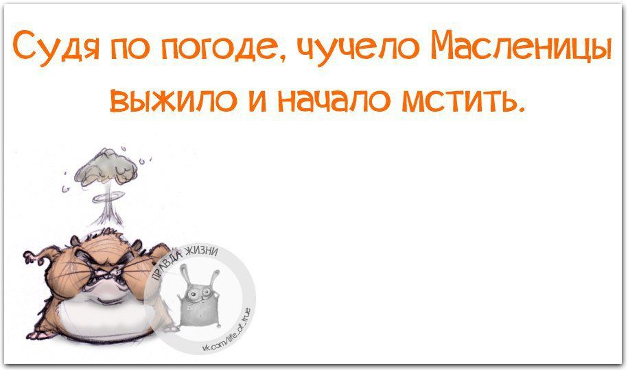 Судя по погоде чучело Масленицы выжило и начало мстить