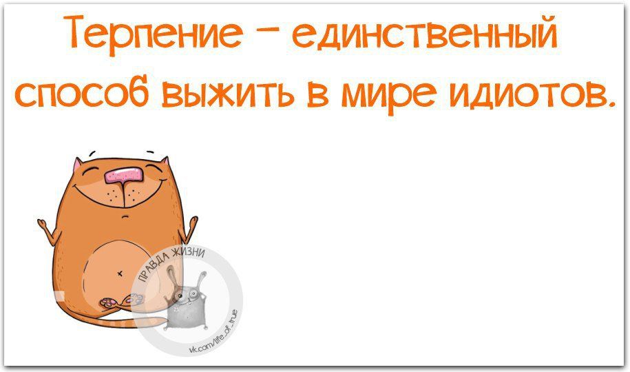 Терпение _ единственный способ выжить в мире идиотов