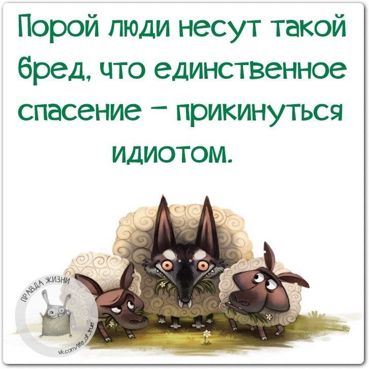 Несу бред что делать. Правда жизни юмор. О жизни с юмором. Цитаты о жизни с юмором. Правда жизни цитаты.